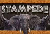 stampede-slot-img