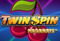 twin-spin-img